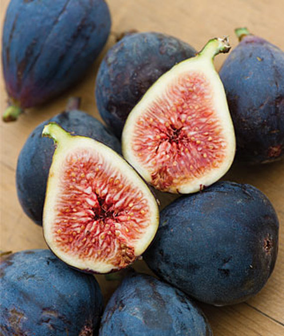 Fig, Black Mission